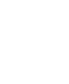 Cash and Money Icon